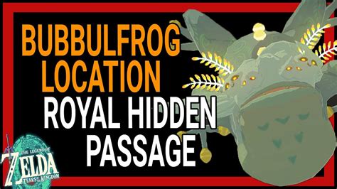 You can find Hearty Lizards, Sticky Lizards, Brightbloom Seeds, Brightcaps, Bomb Flowers, and a chest containing a Large Zonai Charge. . Royal hidden passage bubble frog